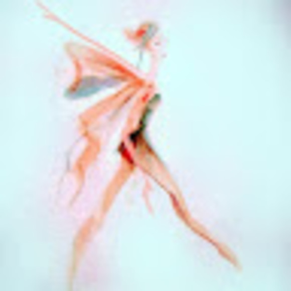 christine_darch